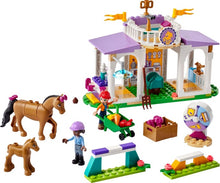 Set 41746-1