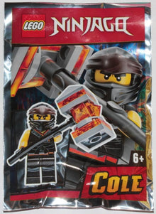 Set 891953-1