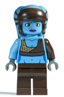 Minifig sw0284